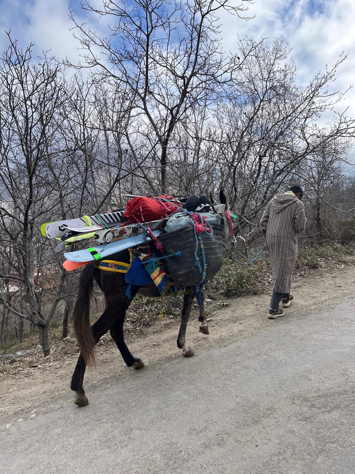  Ski touring across the snowy High Atlas Mountains from Imlil and Tachddirt towards Tizi Mizik, Likemt and Bougnousene, Morocco.