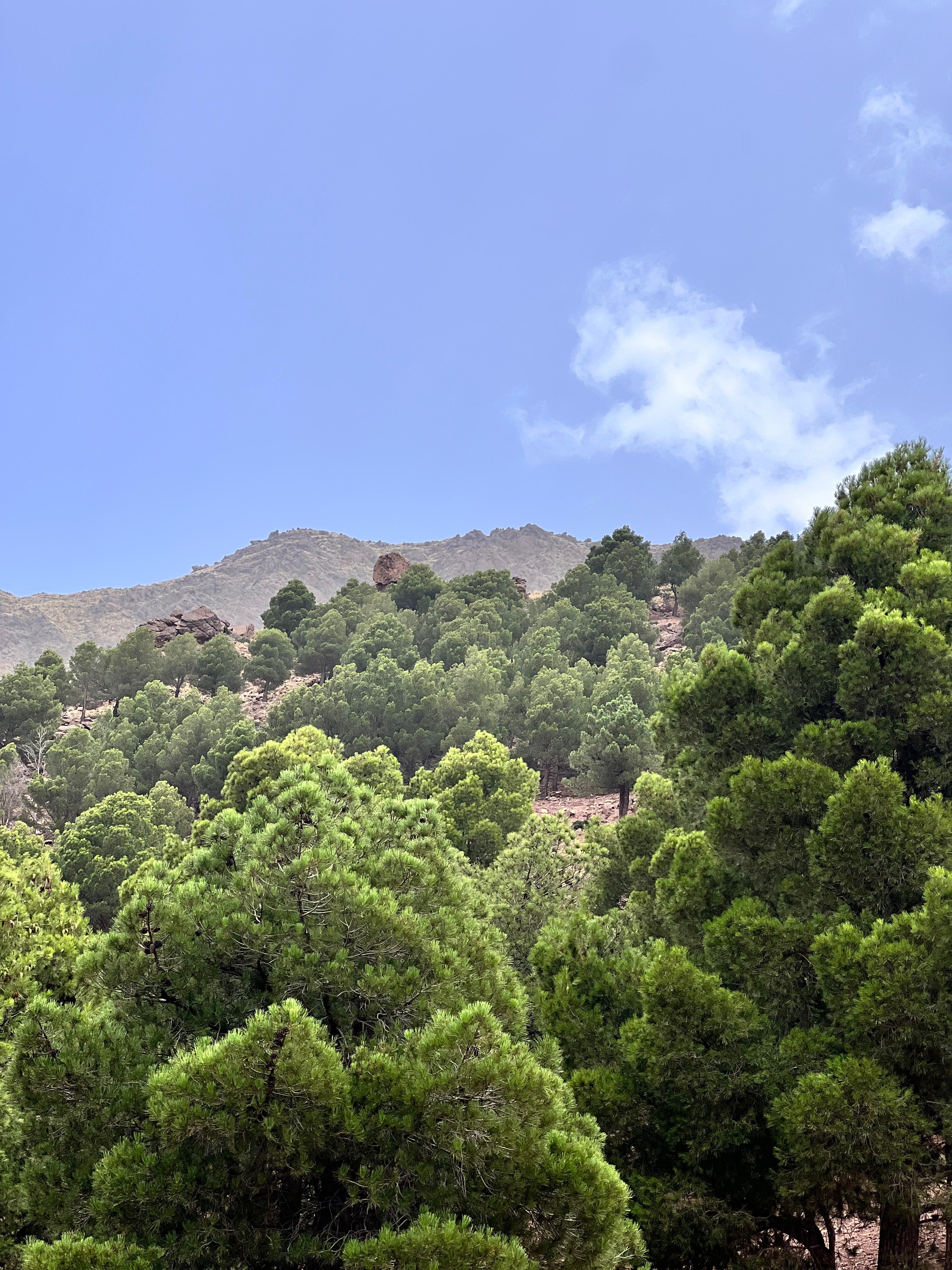 Sendero en el valle de Ourika hacia las cascadas de Setti Fatma