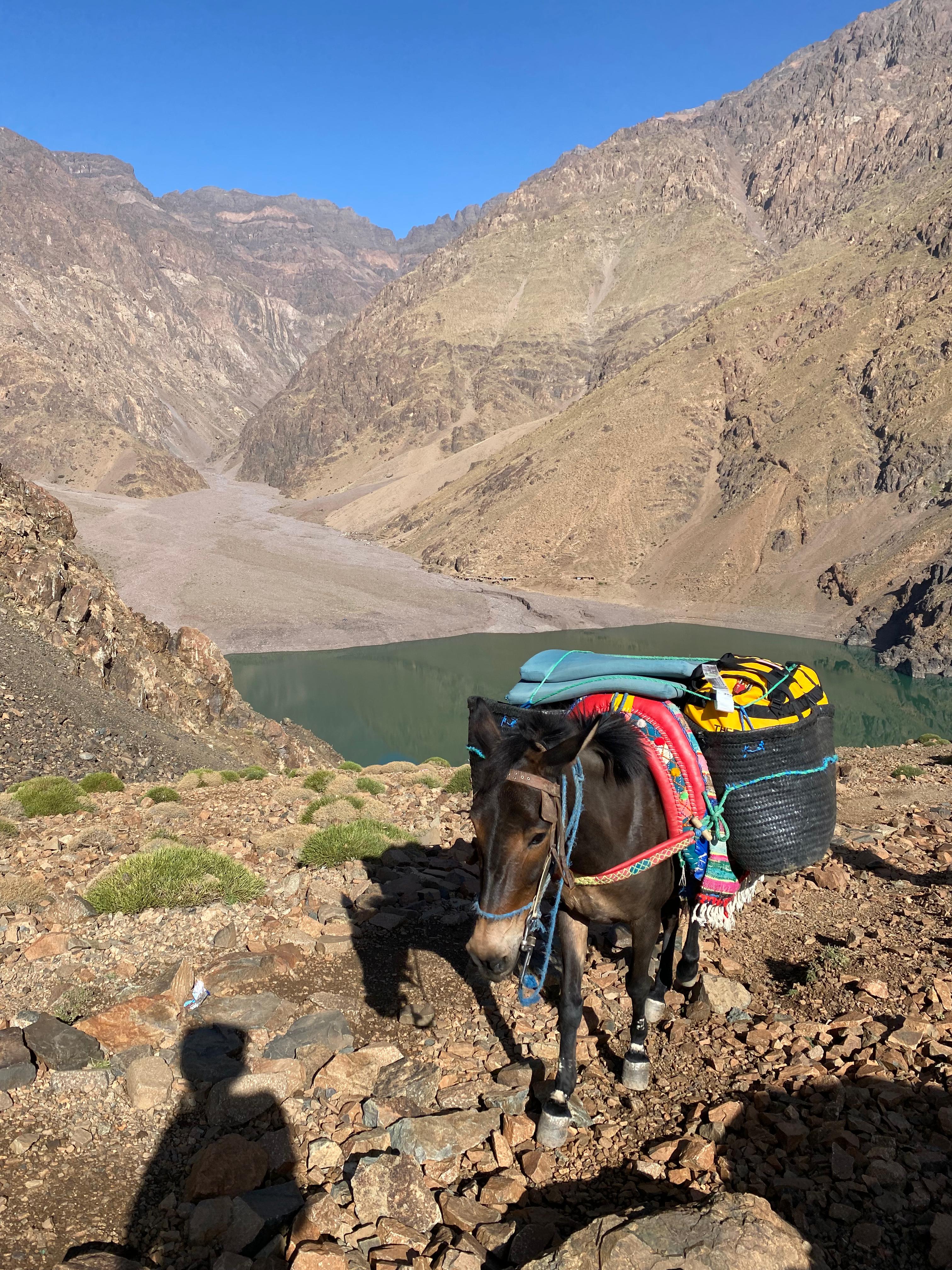 2 Days Toubkal trek from Imlil village